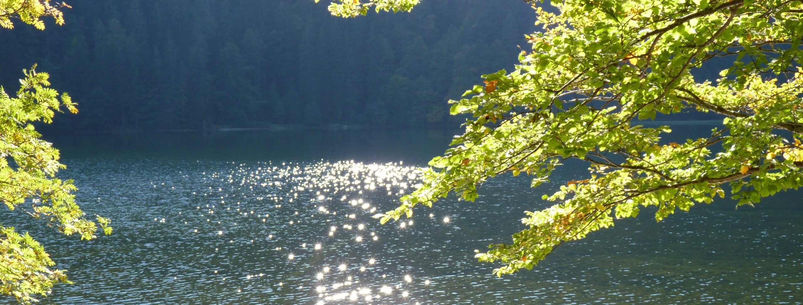 vielfältig und innovativ