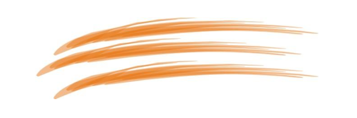 wissen worauf es ankommt